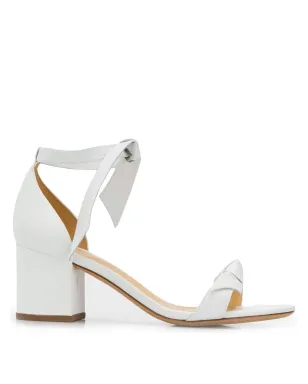 Alexandre Birman ブロックヒールサンダル - サムネイル1