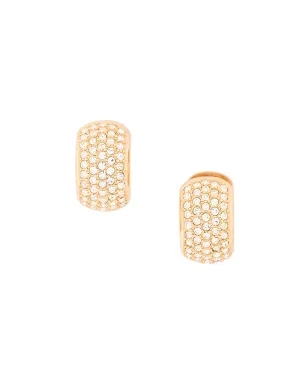 Christian Dior Pre-Owned クリスチャン ディオール中古 Swarovskiクリスタル デミフープ クリップオン イヤリング - サムネイル1