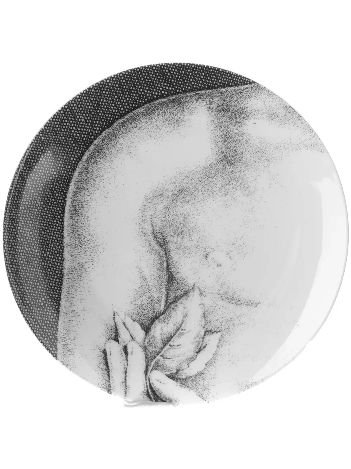 Fornasetti アダム プレートセット（12枚セット）- グレー - 画像4