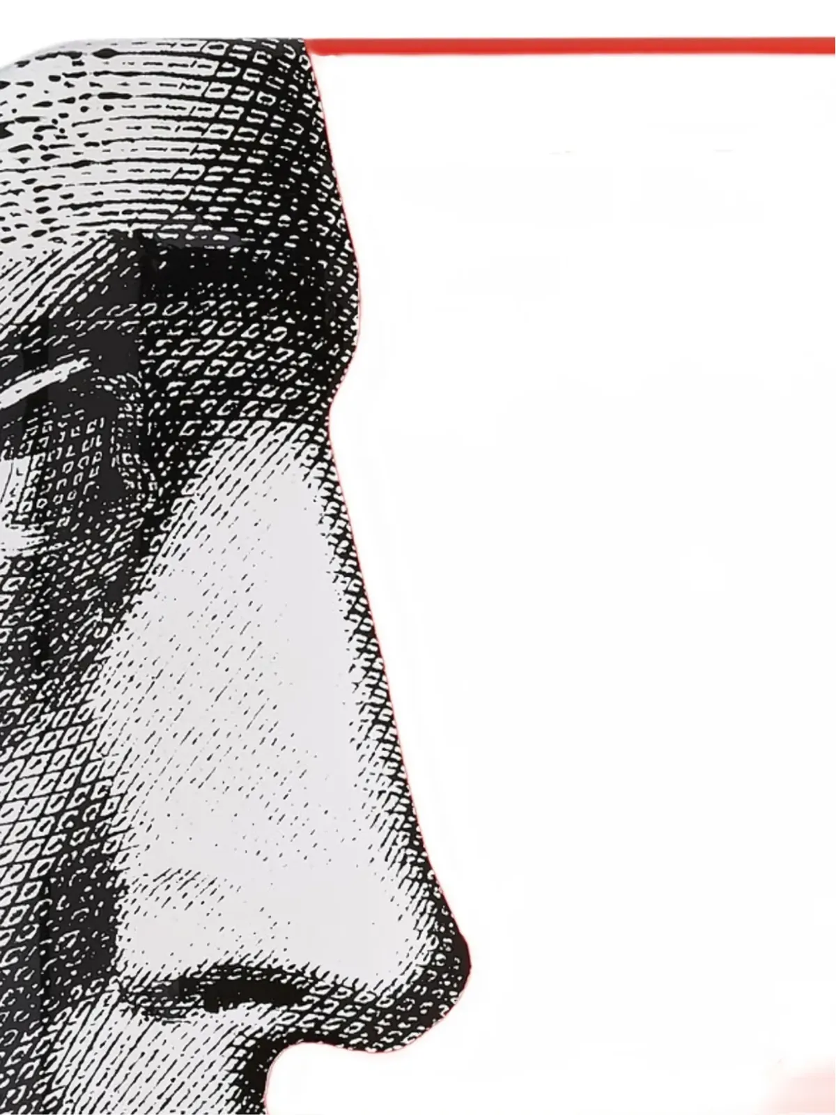 Fornasetti Profili トレイ - 画像4