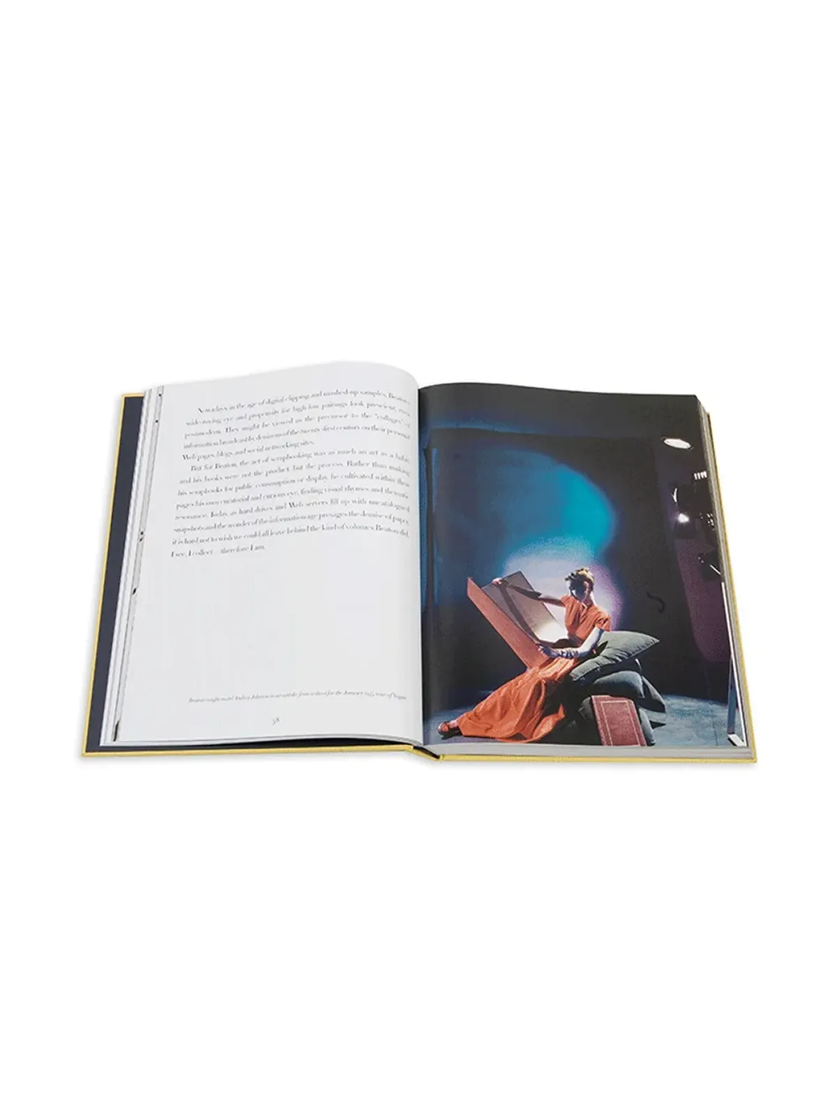 Assouline Cecil Beaton: The Art of the Scrapbook book - Yellow - 画像5