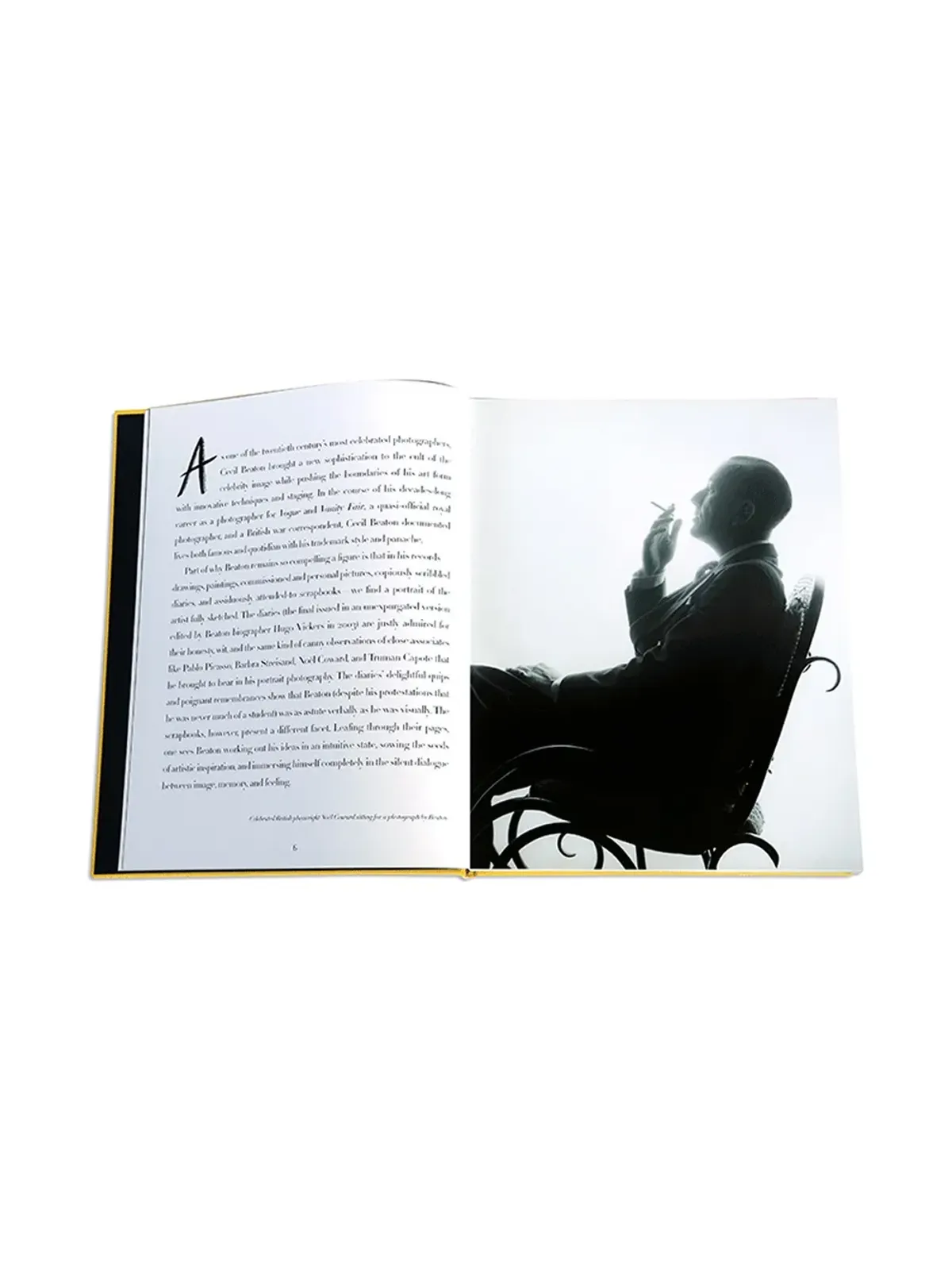 Assouline Cecil Beaton: The Art of the Scrapbook book - Yellow - 画像4