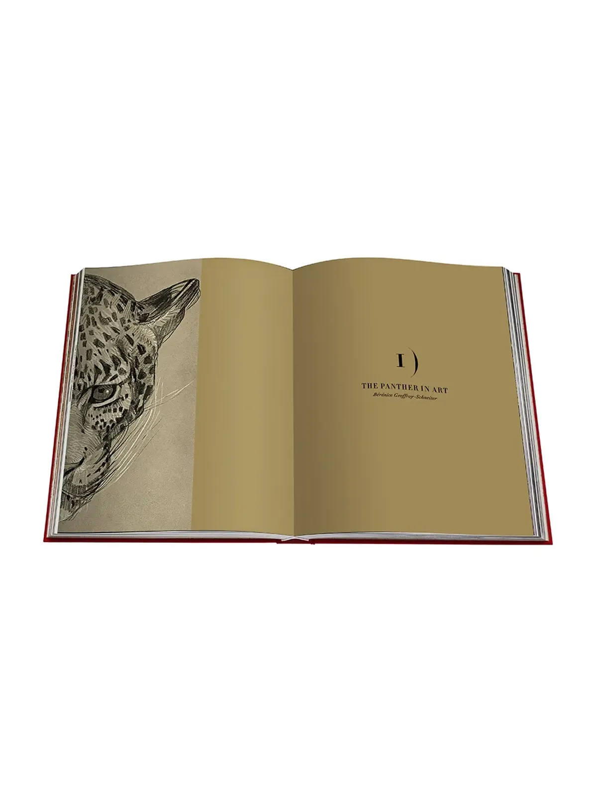 Assouline Cartier Panthère ブック - マルチカラー - 画像4