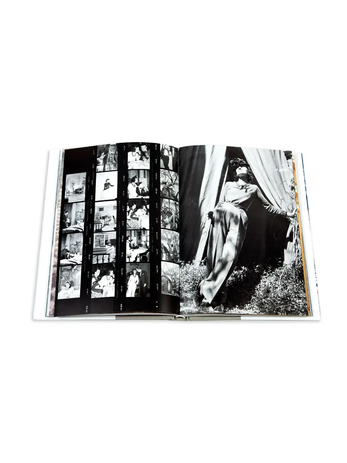 Assouline The French Riviera in the 1920's - Blue - 画像3
