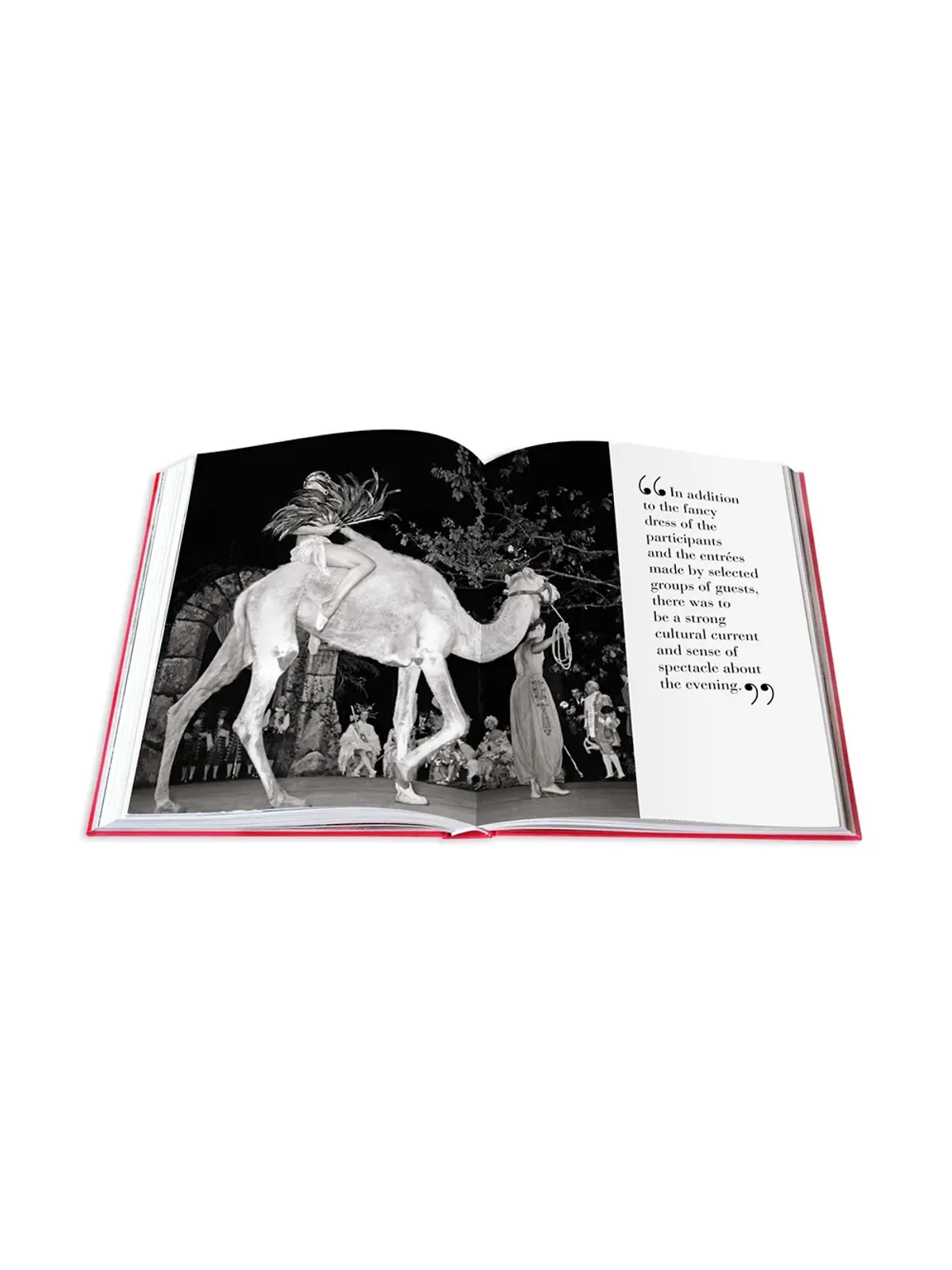 Assouline BALS - マルチカラー - 画像5