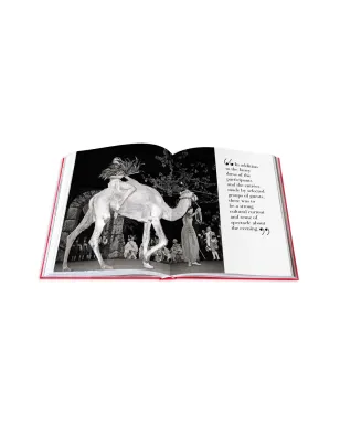 Assouline BALS - マルチカラー - サムネイル5