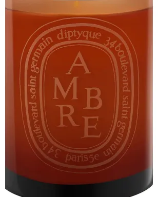 Diptyque アンブレ香りキャンドル - サムネイル2
