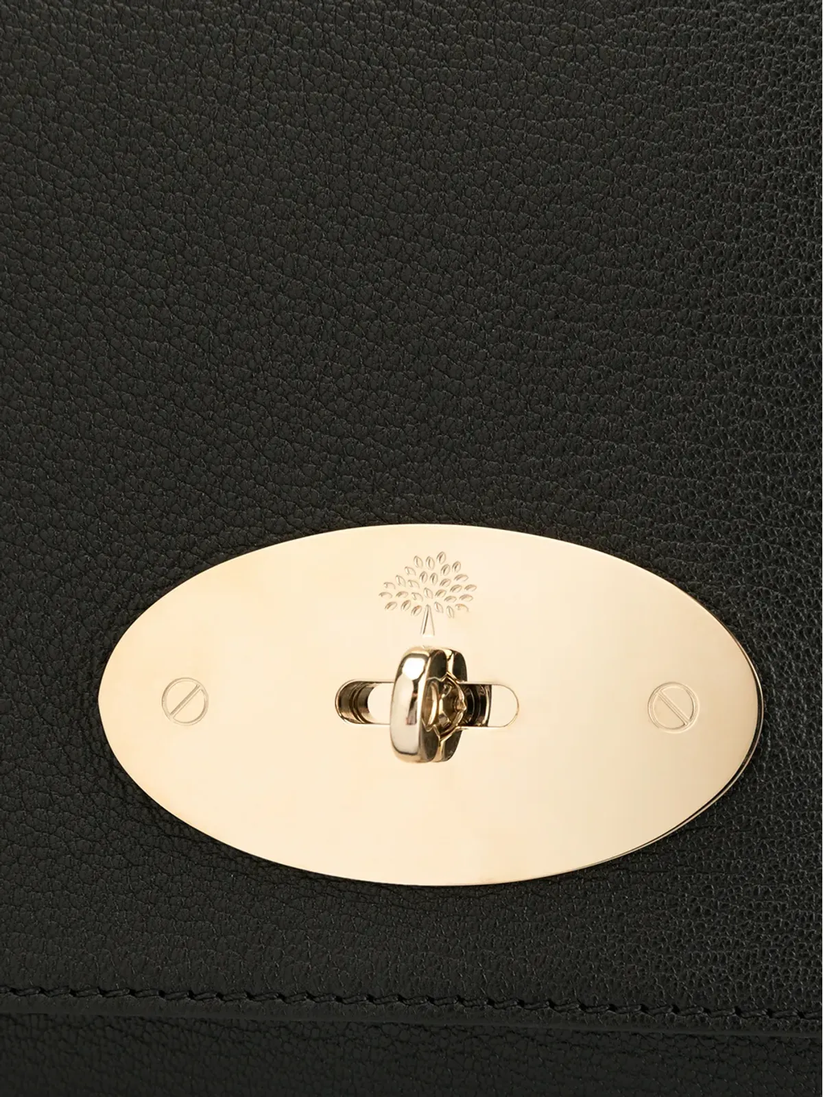 Mulberry リリーレザーショルダーバッグ - 画像4