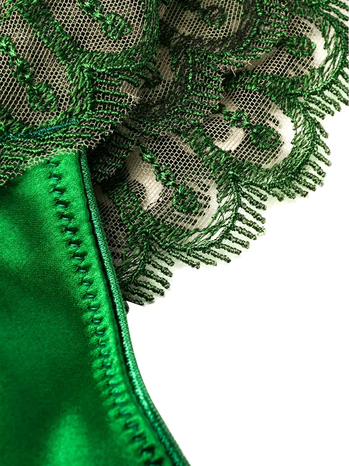 I.D. Sarrieri 刺繍入りチュール Tバック - Green - 画像3