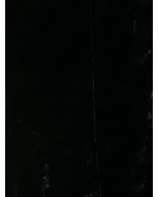 Saint Laurent Pre-Owned 1990年代 ギャザー細部ベルベットドレス - サムネイル5