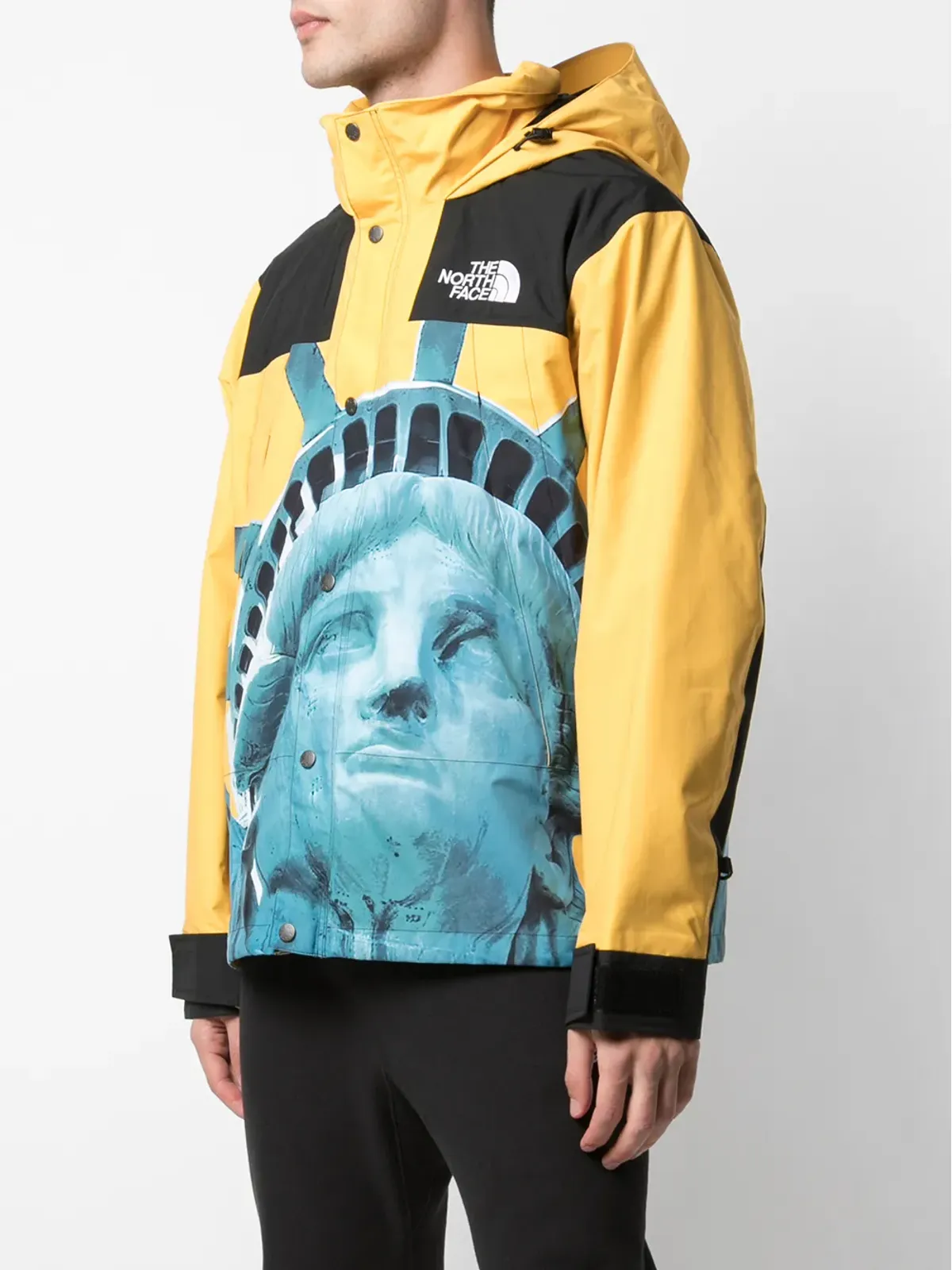 Supreme マウンテンジャケット - 画像3
