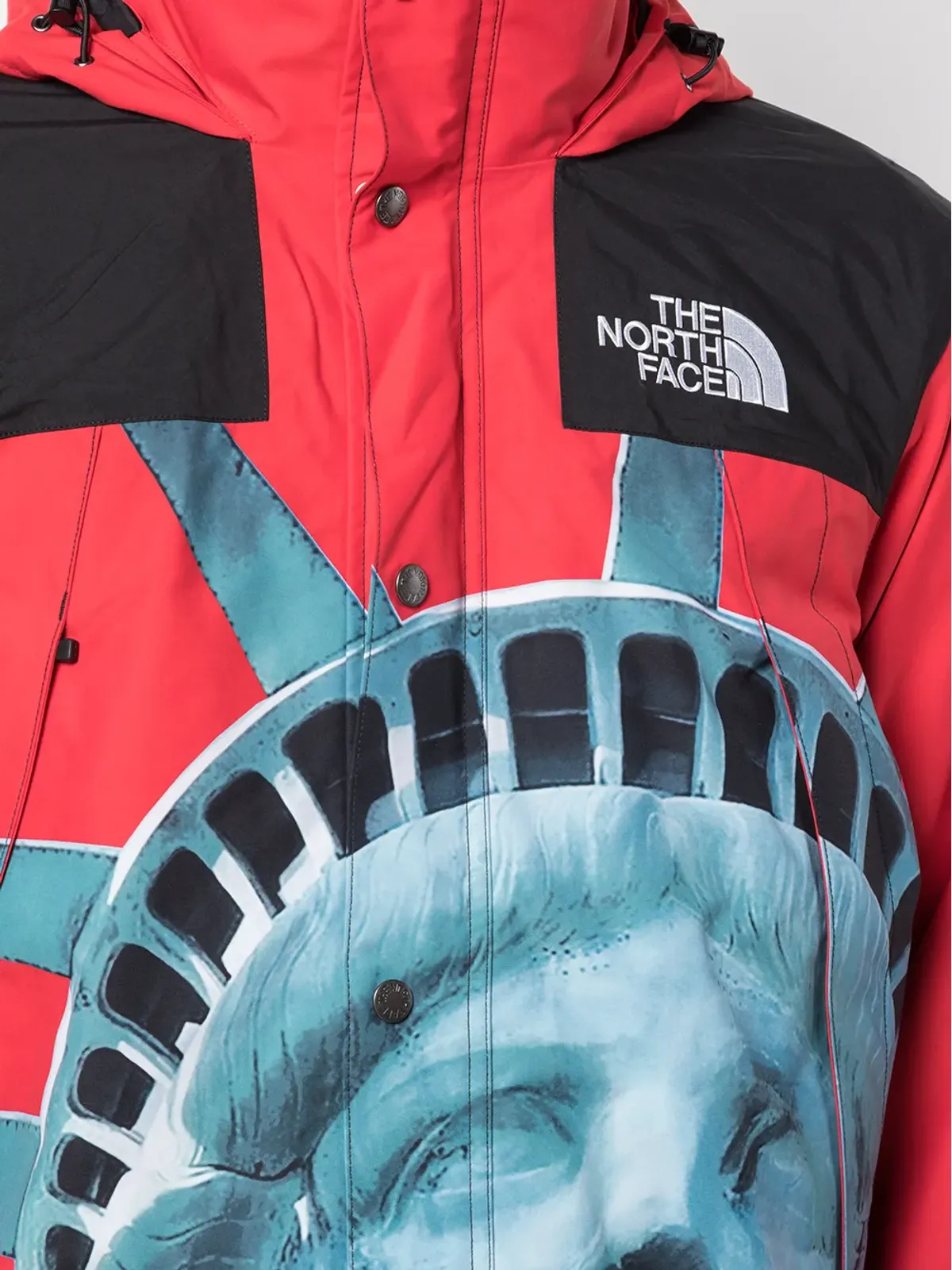 Supreme x The North Face Statue Of Liberty マウンテンジャケット - 画像5