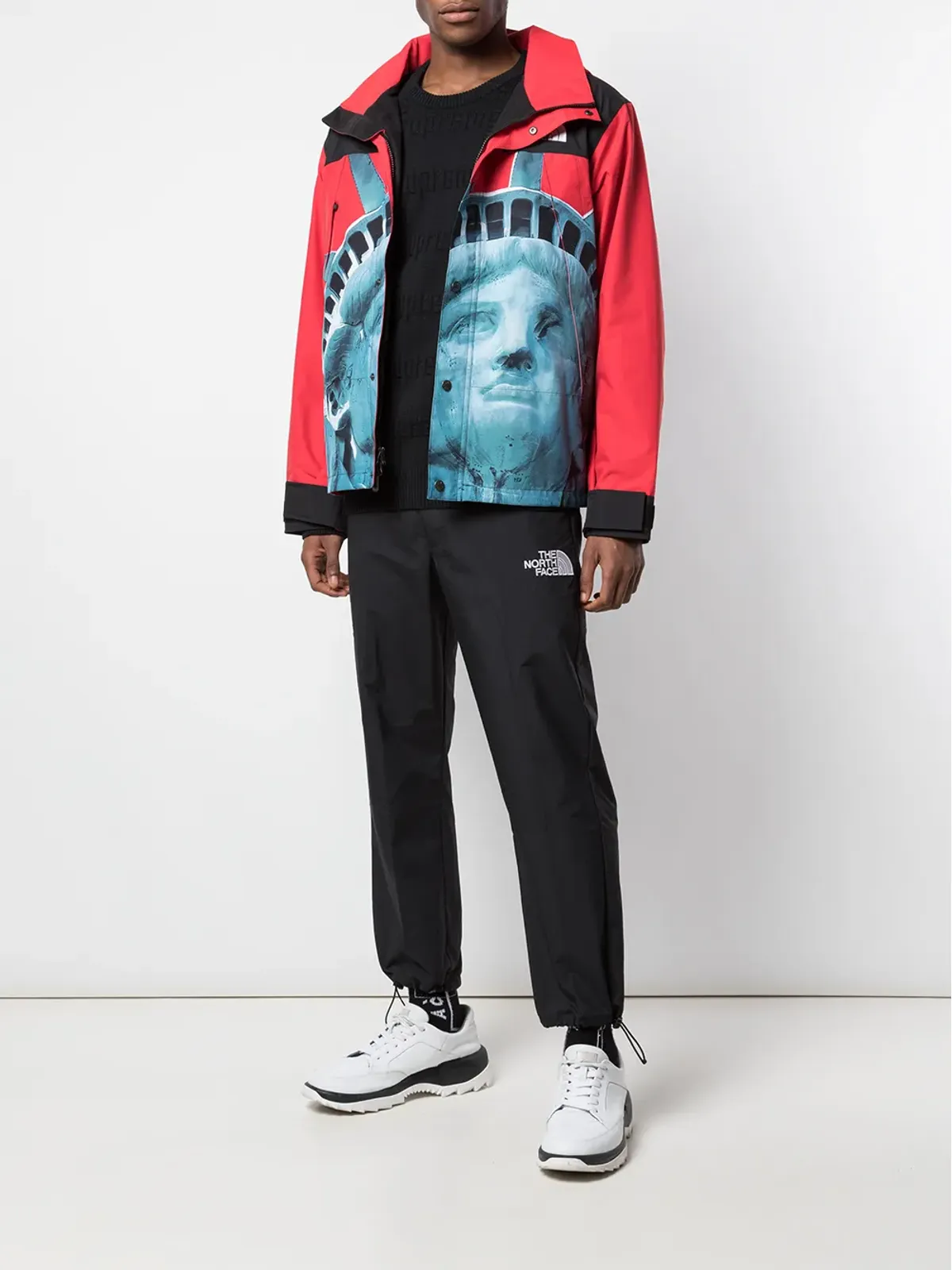 Supreme x The North Face Statue Of Liberty マウンテンジャケット - 画像2