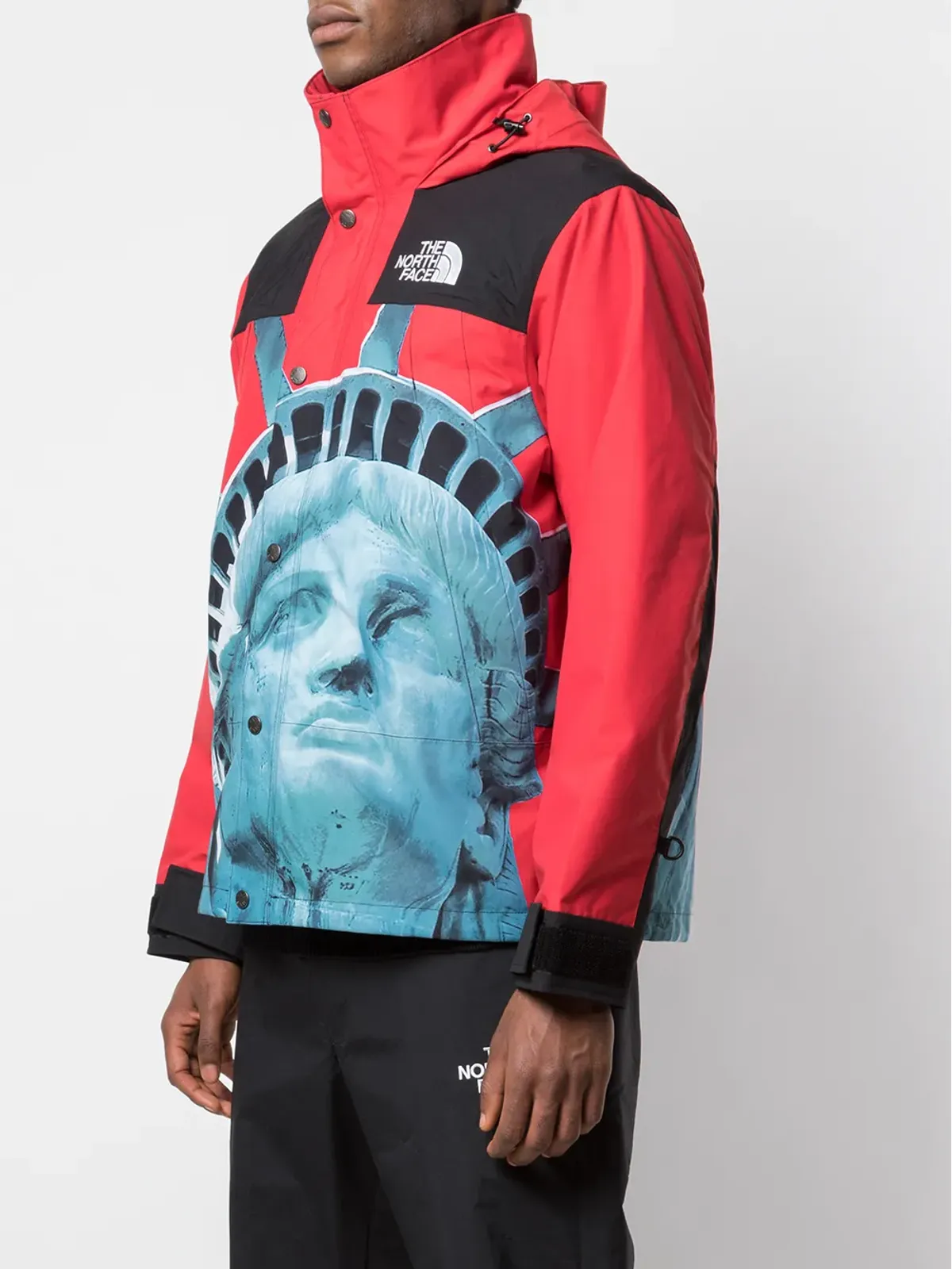 Supreme x The North Face Statue Of Liberty マウンテンジャケット - 画像3