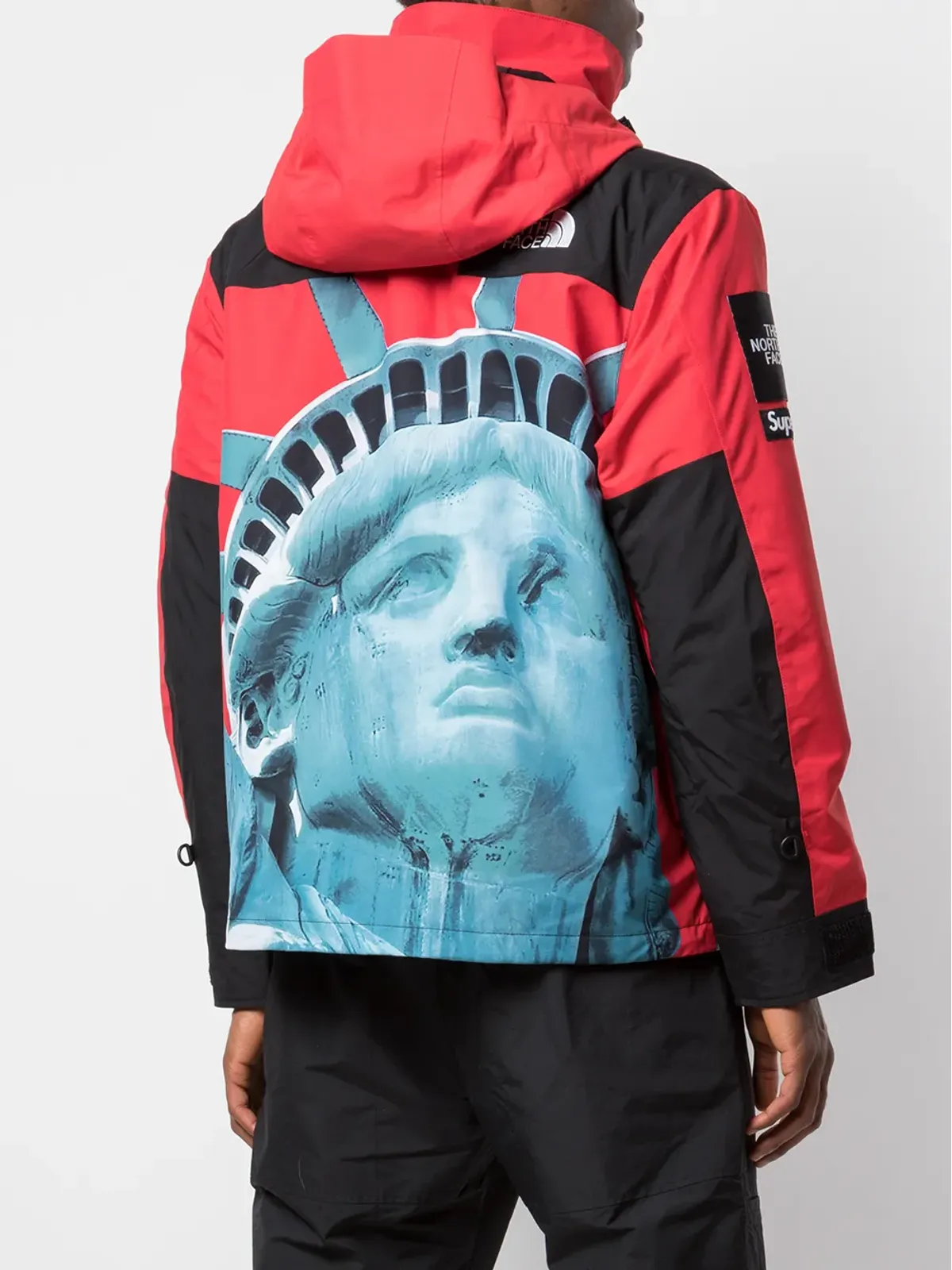 Supreme x The North Face Statue Of Liberty マウンテンジャケット - 画像4