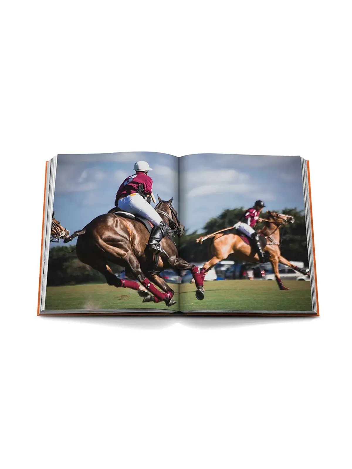 Assouline ウェリントン：世界の馬の本 - 画像4