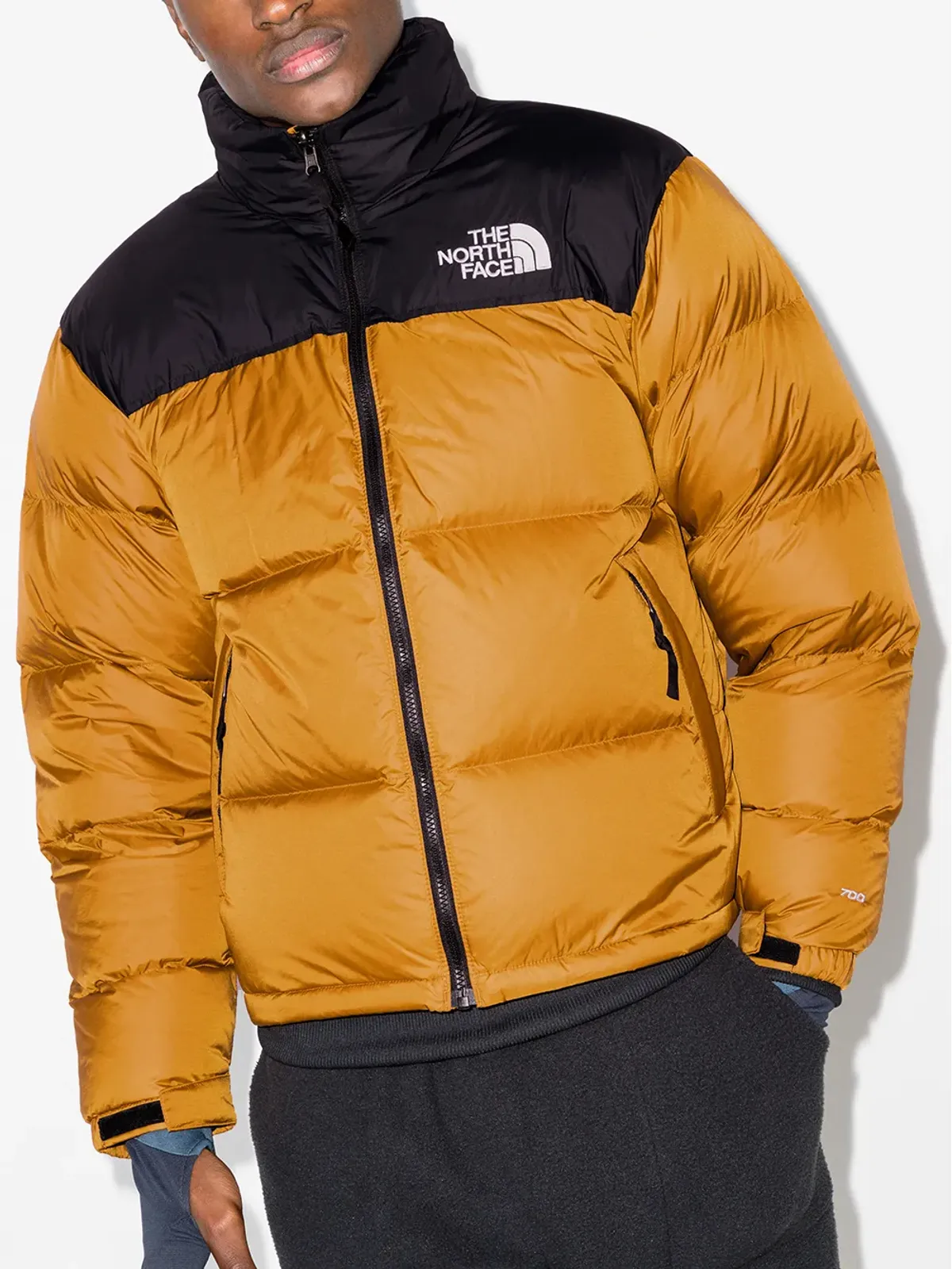 The North Face 1996年レトロ ジップアップ ダウンジャケット - 画像2
