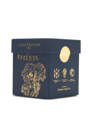 TRUDON エステレル香り付きキャンドル ブルー - サムネイル4