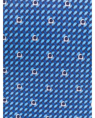 Ferragamo ガンチョ織柄プリント ネクタイ - サムネイル2