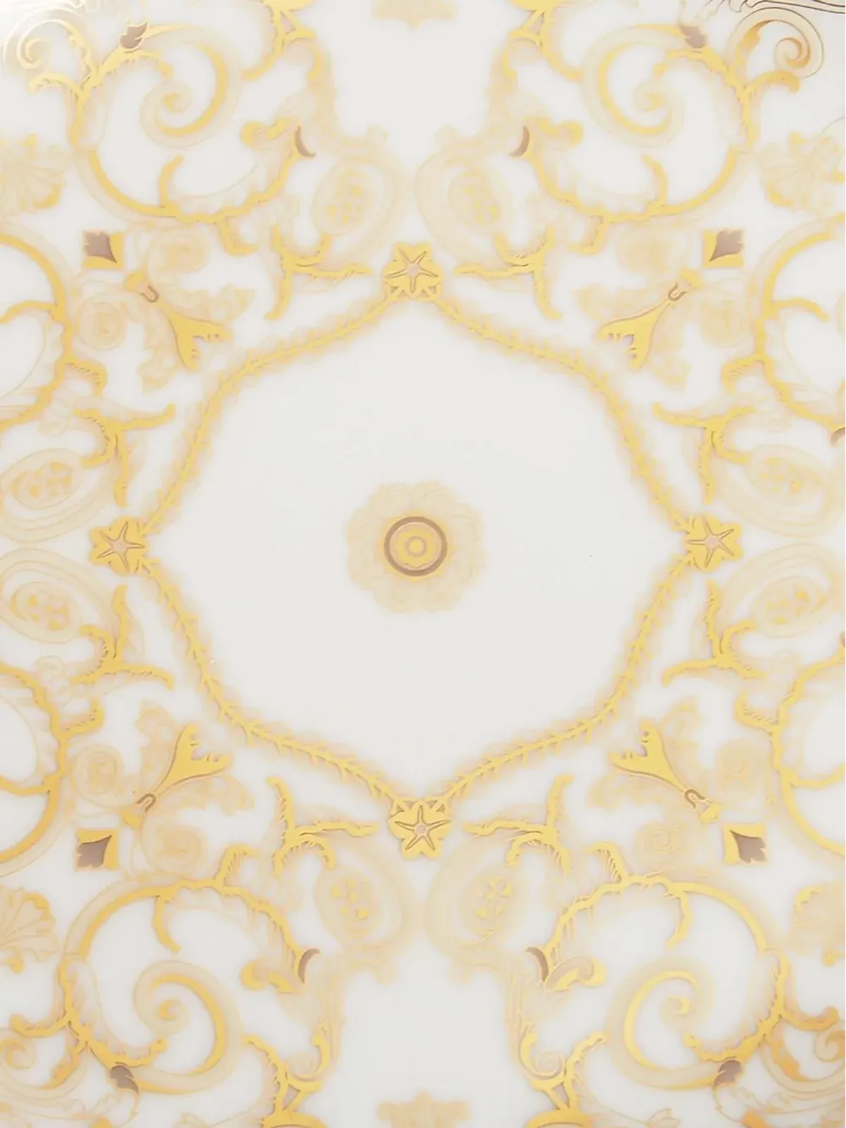 Versace Medusa Galaプレート - White - 画像5