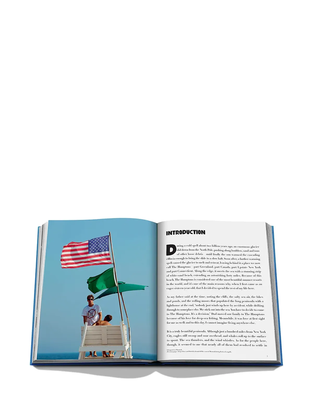 Assouline Hamptons Private book - Blue - 画像4