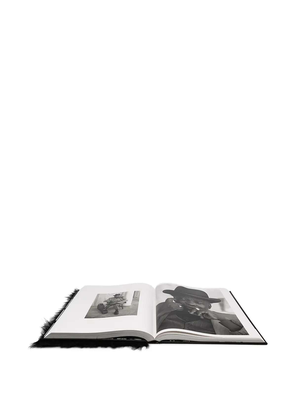 TASCHEN Kaos: アルバート・ワトソン - 画像3