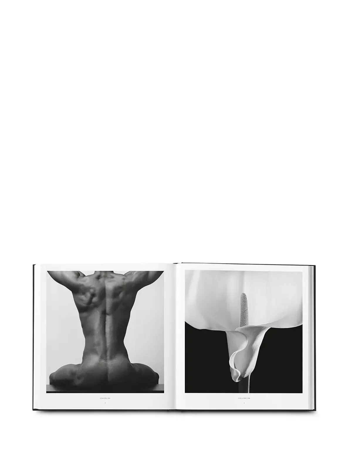 Phaidon Press ロバート・マップルソープ写真集 ブラック - 画像5