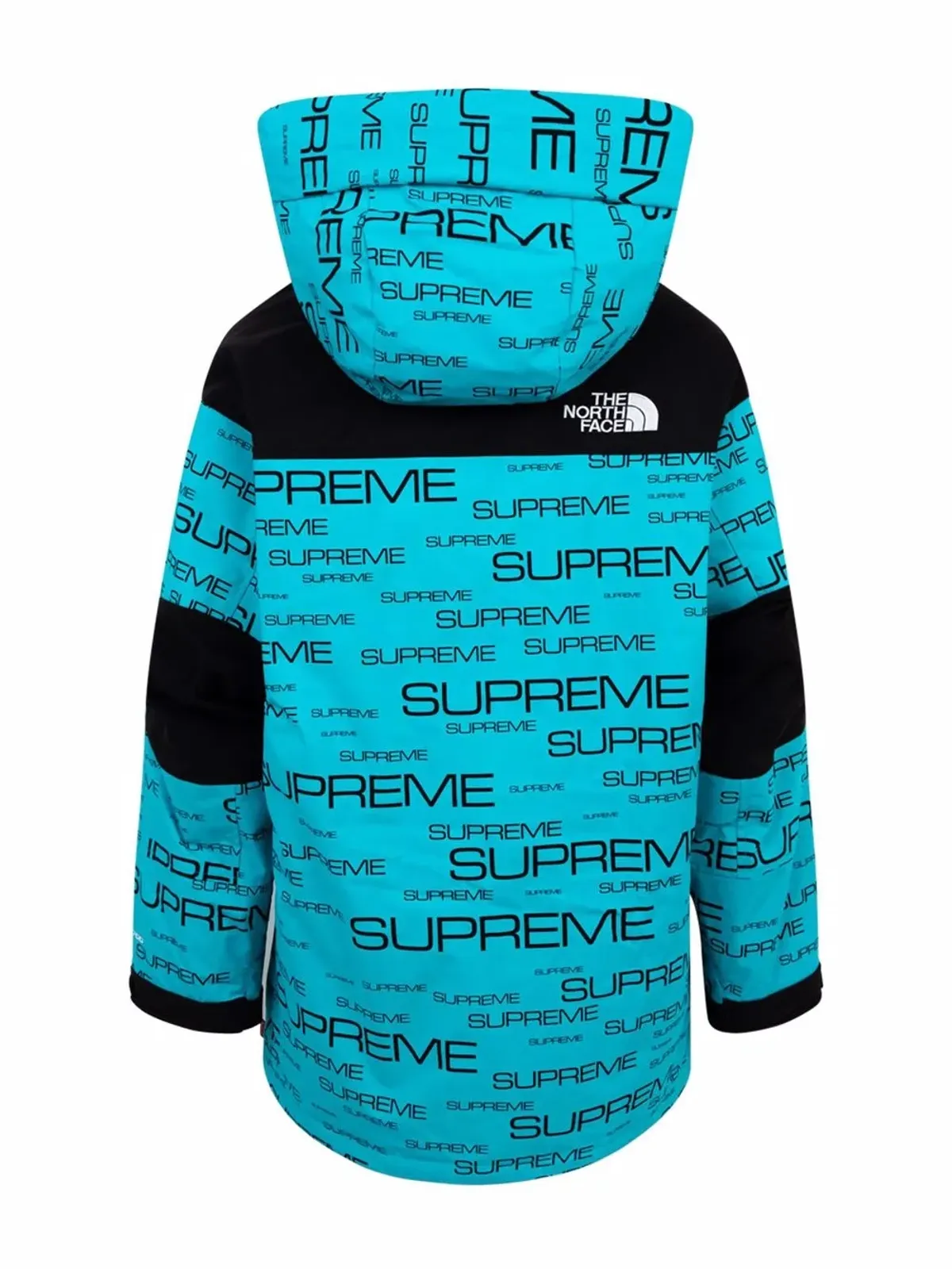 Supreme x The North Face コールドワークス 700フィル ダウンコート - ブルー - 画像2