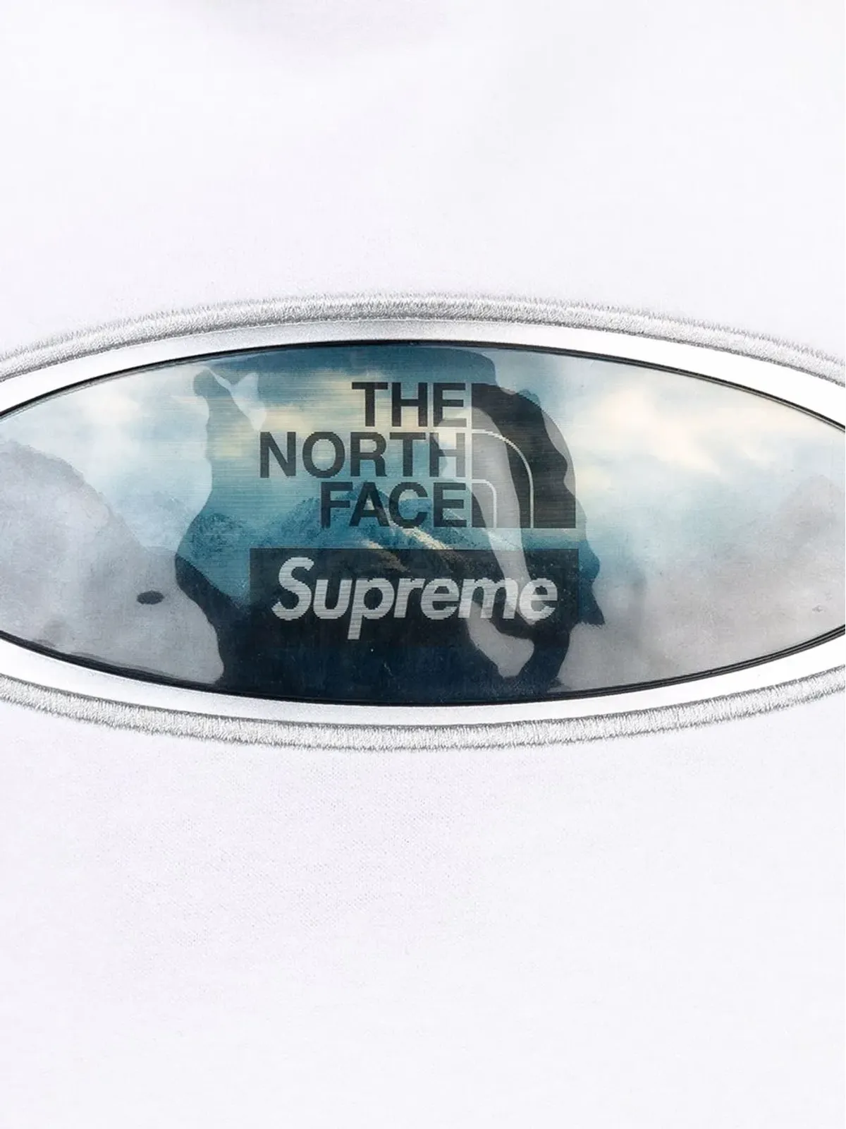 Supreme × The North Face レンチキュラー・マウンテン フーディ - 画像3