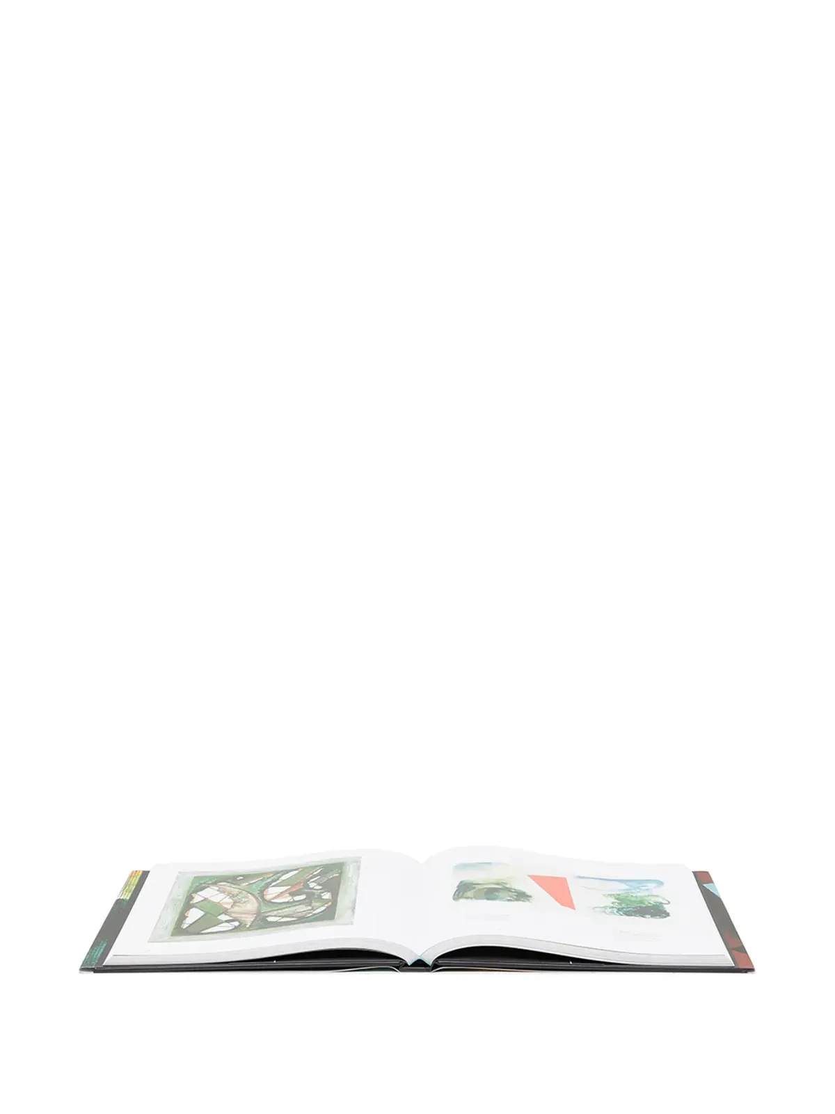 Rizzoli William Tillyer: A Retrospective book - Blue - 画像3