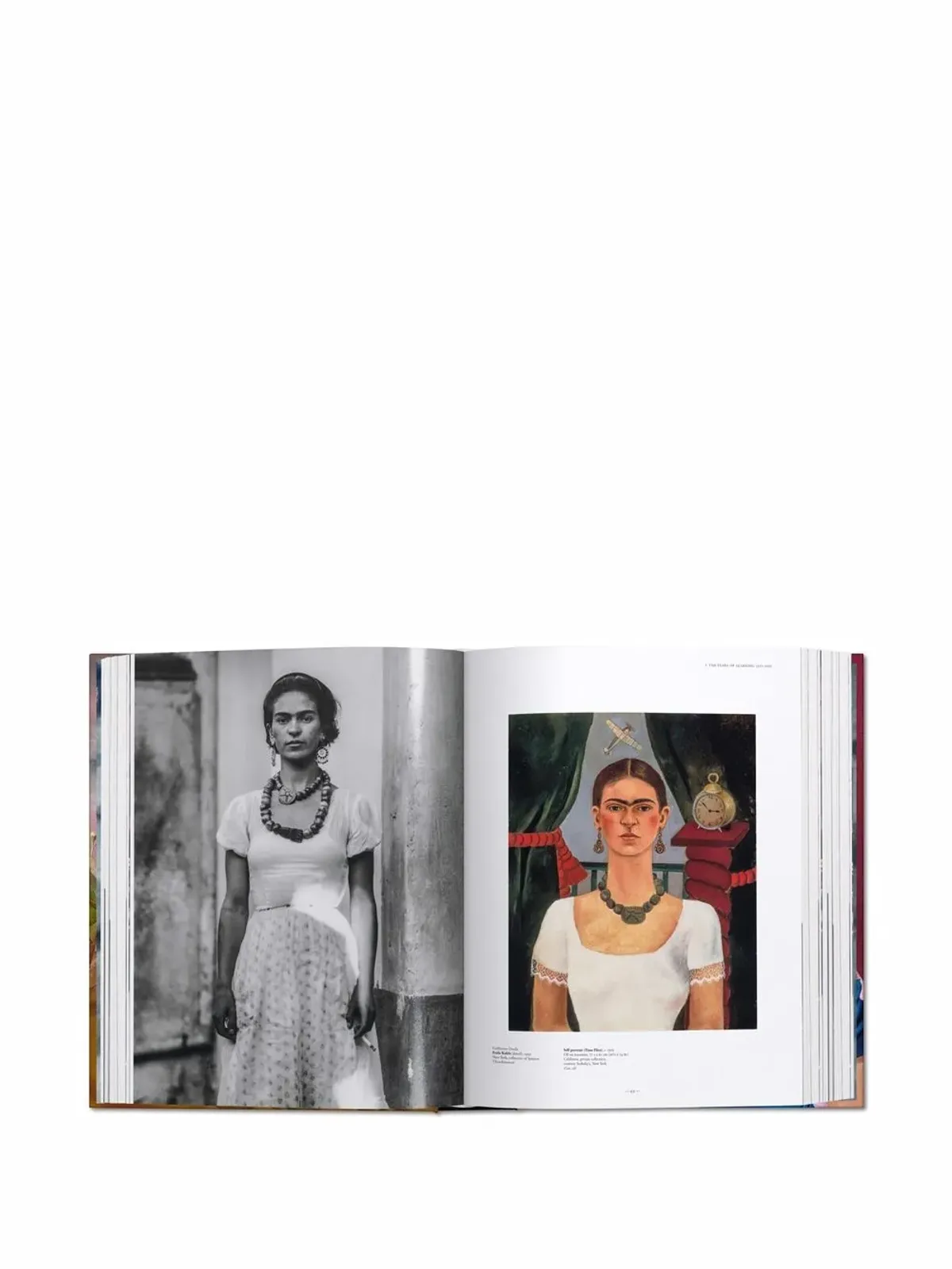 TASCHEN Frida Kahlo: The Complete Paintings book - Multicolour - 画像3