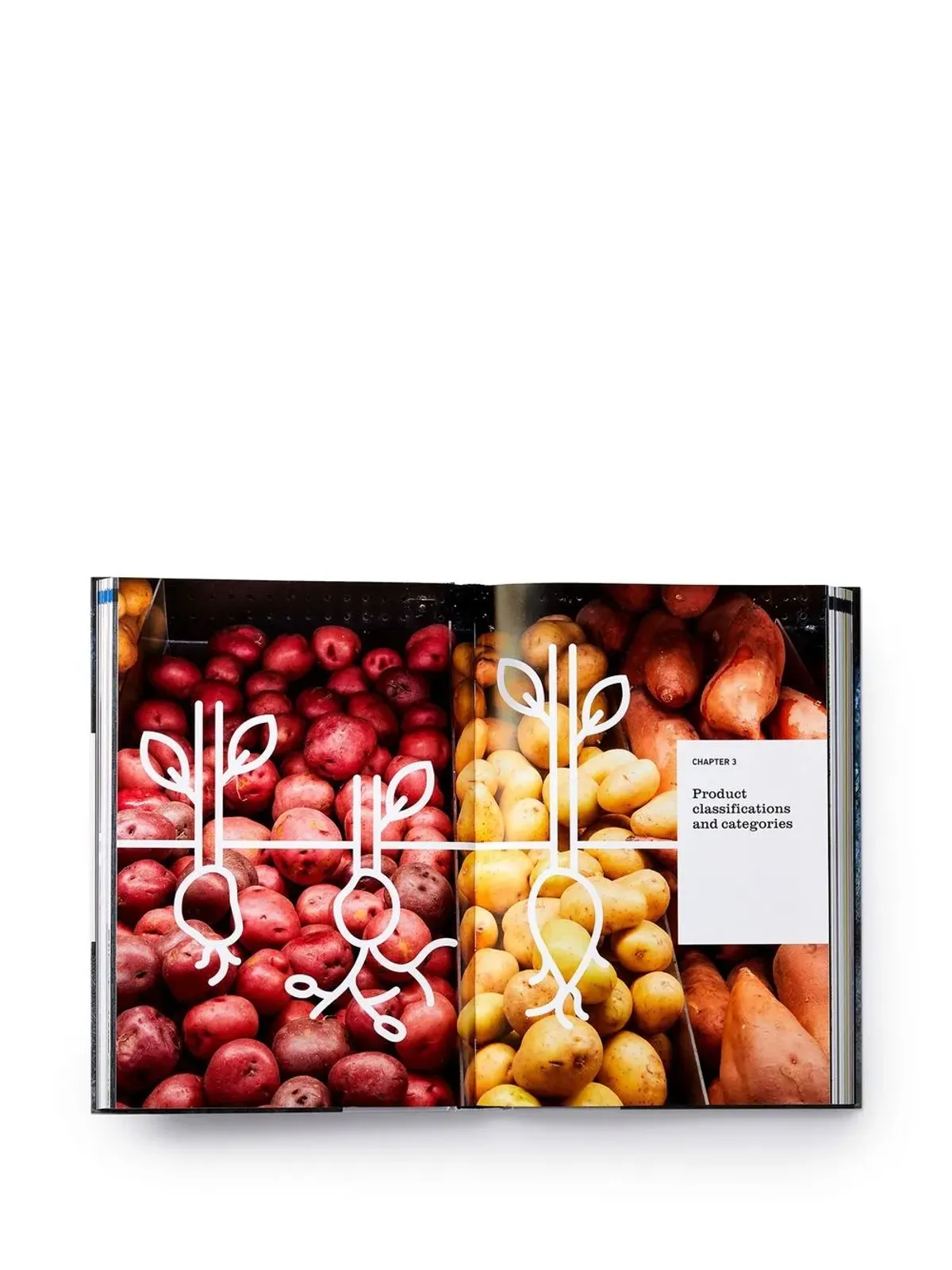 Phaidon Press 未整理製品: 定義と分類 - Blue - 画像2