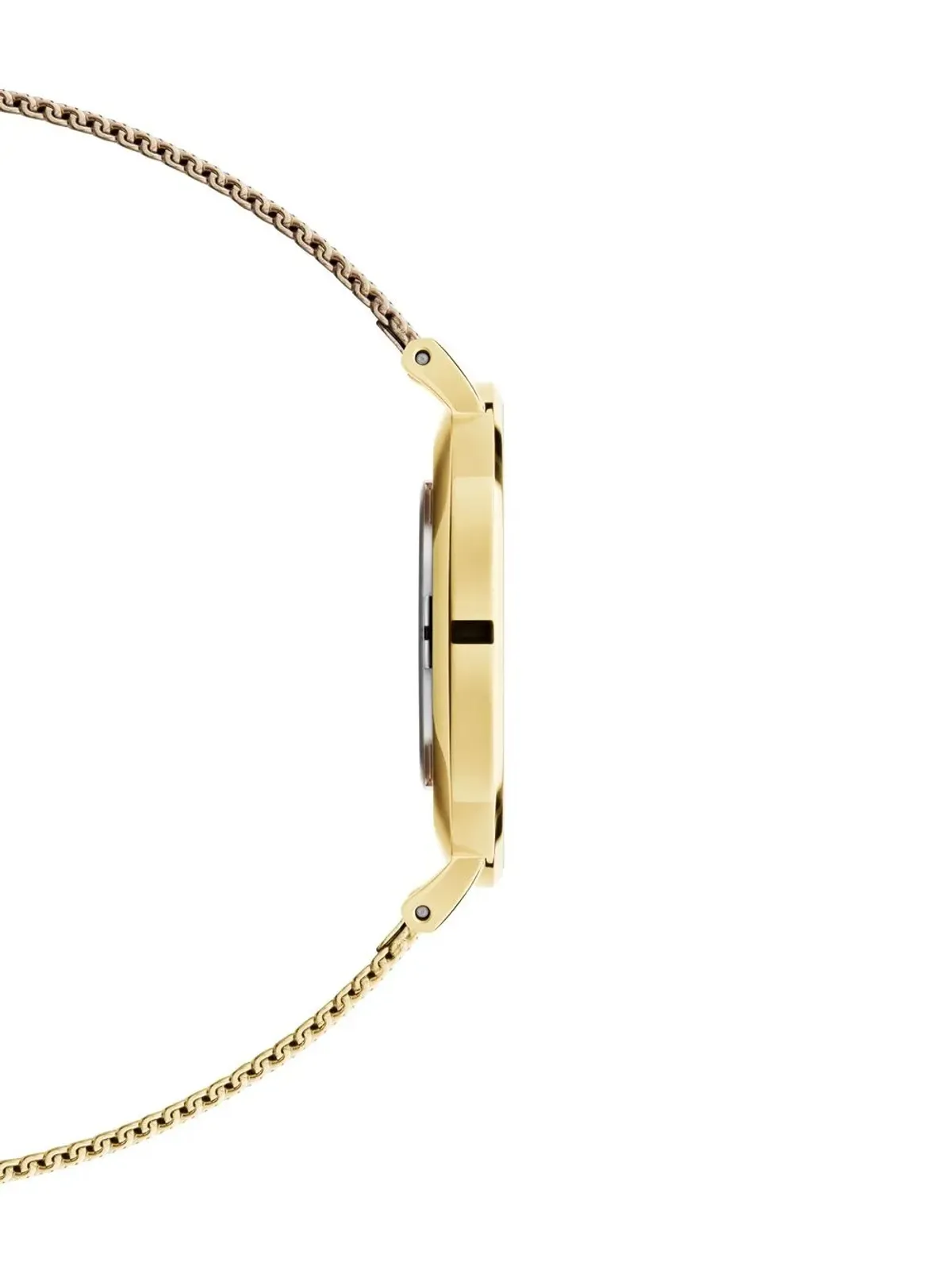 Daniel Wellington ペティット エバーゴールド - 画像3