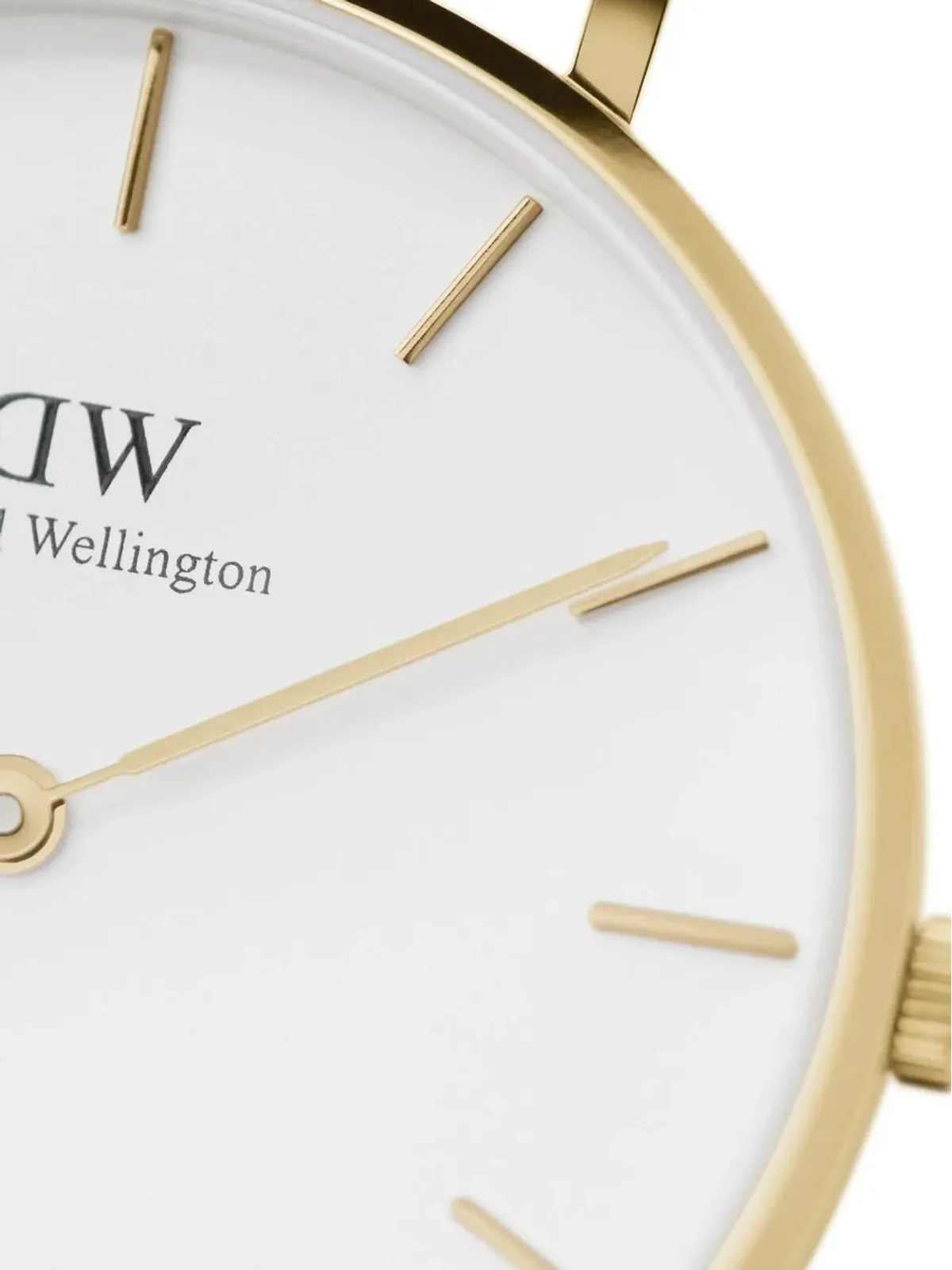 Daniel Wellington Petite St Mawes - 画像2