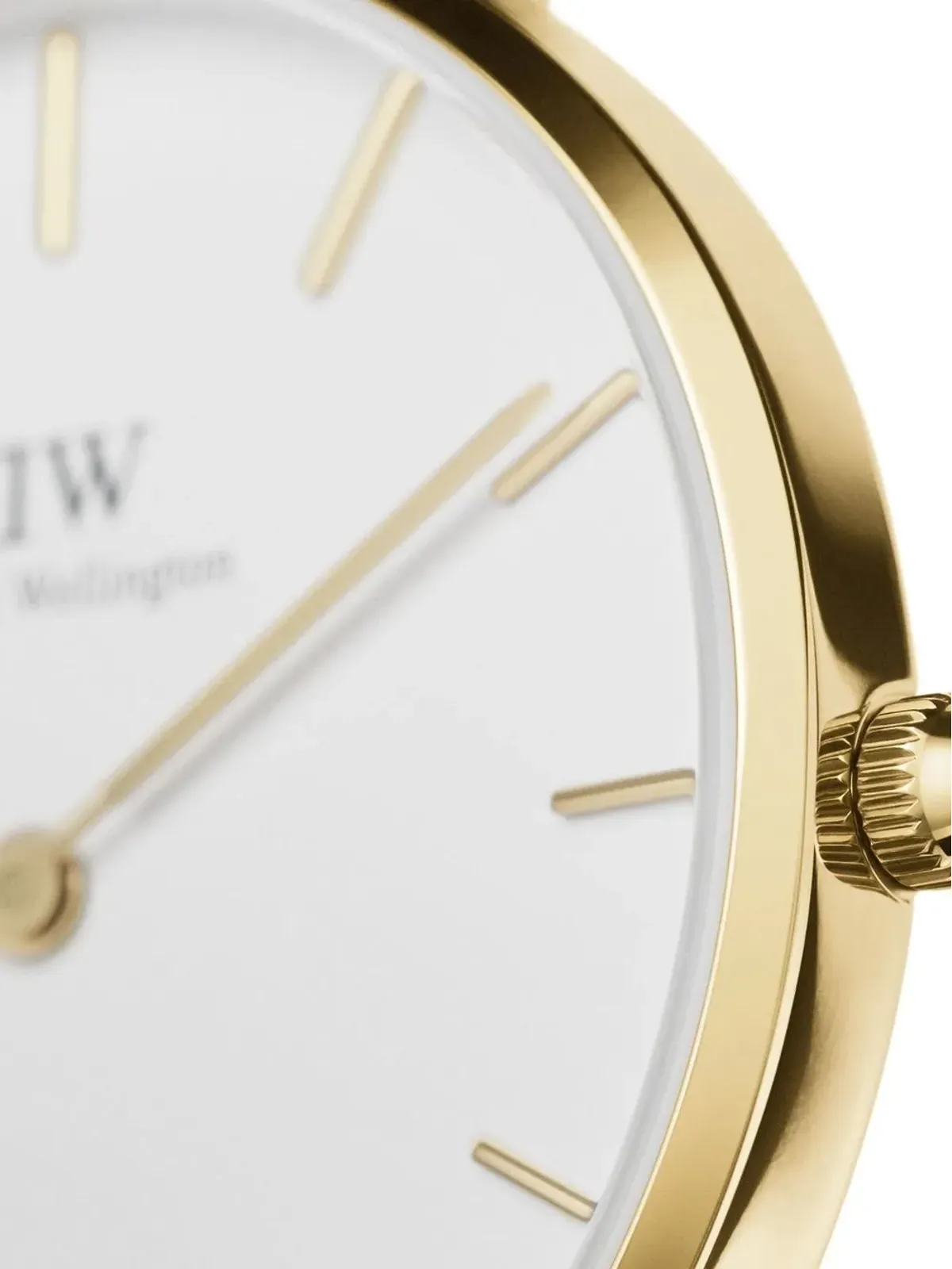Daniel Wellington Petite St Mawes - 画像3