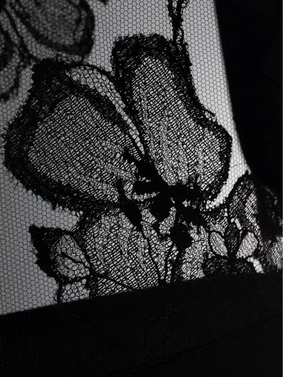 Carine Gilson 花柄刺繍チュールローブ ブラック - 画像3