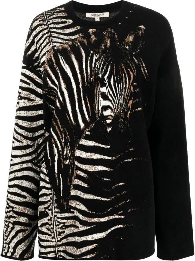 Roberto Cavalli Roberto Cavalli ゼブラ柄ニットセーターの商品画像