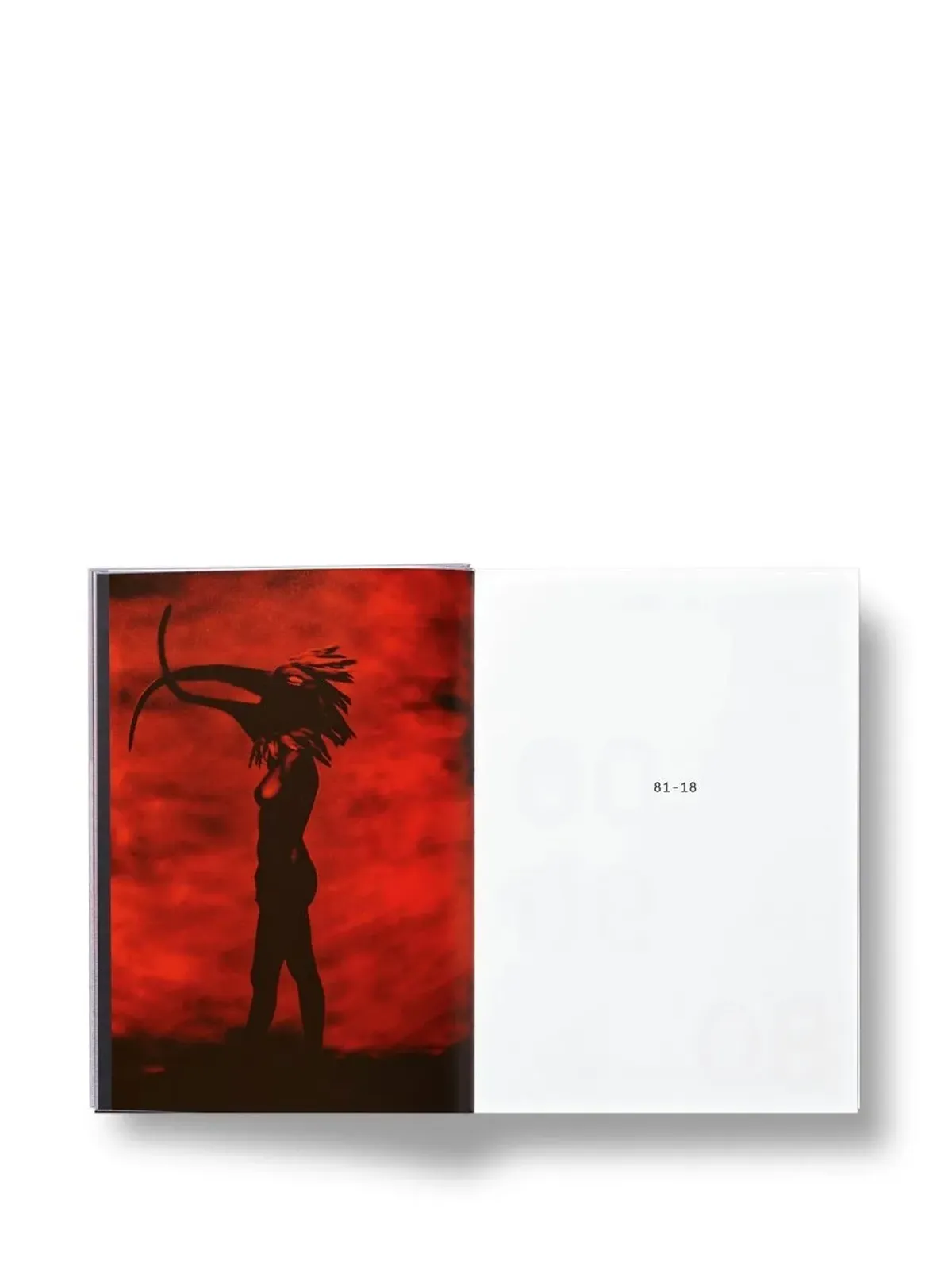 TASCHEN Depeche Mode by Anton Corbijn book - 画像5