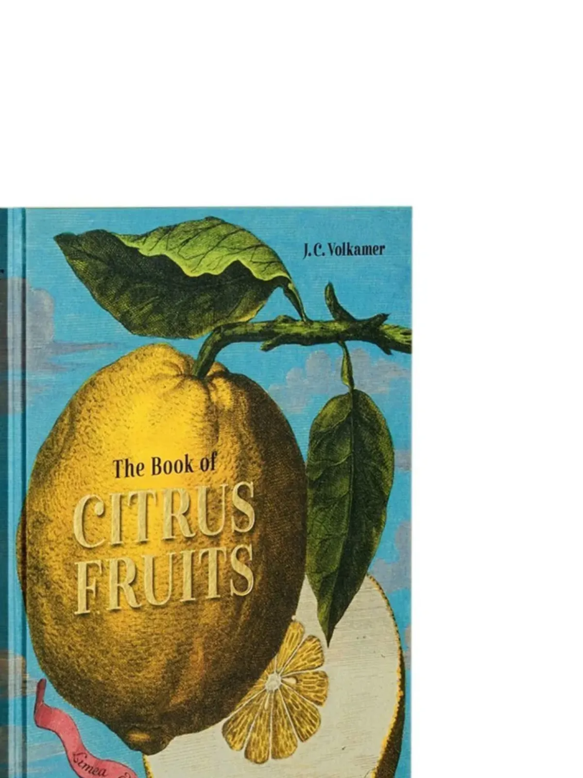 TASCHEN J. C. Volkamer. The Book of Citrus Fruits - 画像5