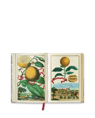 TASCHEN J. C. Volkamer. The Book of Citrus Fruits - サムネイル3