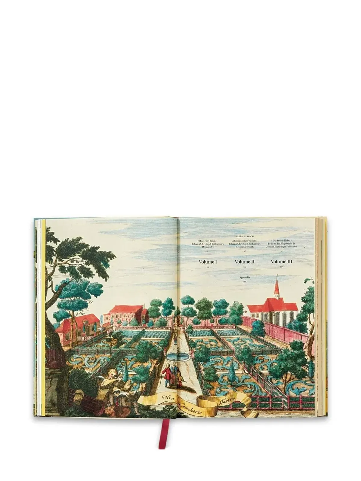 TASCHEN J. C. Volkamer. The Book of Citrus Fruits - 画像4