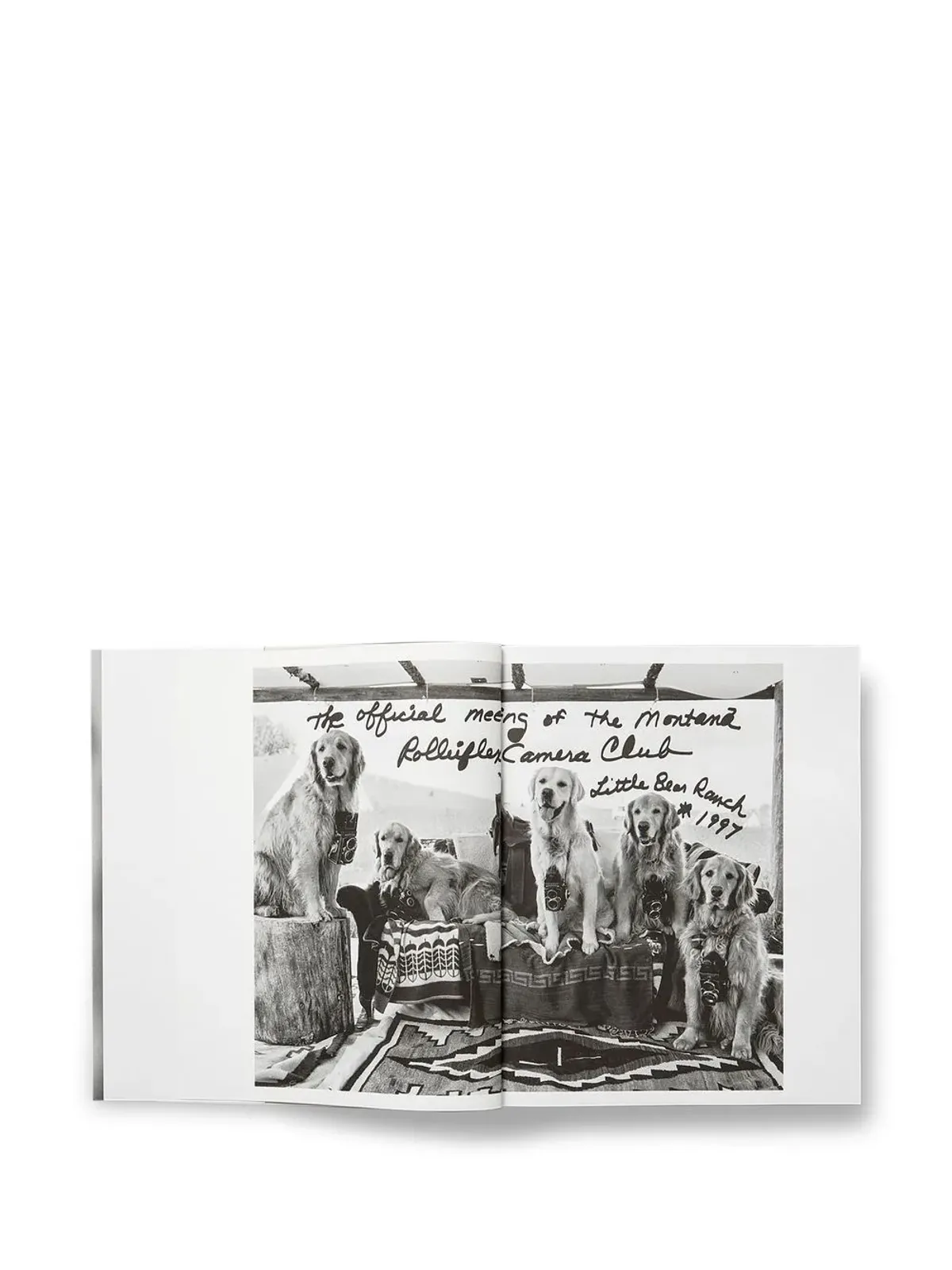 TASCHEN The Golden Retriever Photographic Society - Grey - 画像4