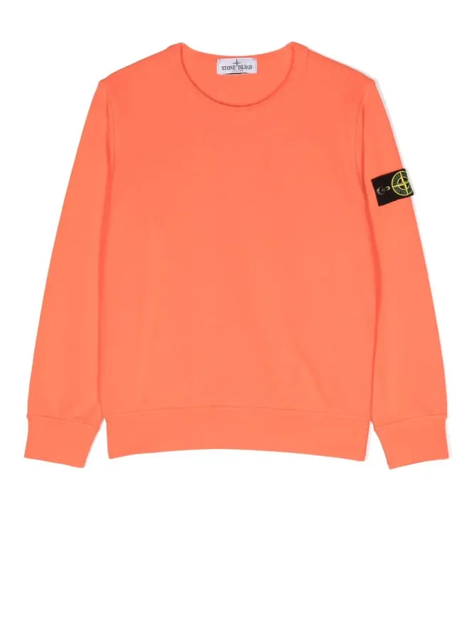 Stone Island Junior Stone Island Junior ロゴパッチ長袖スウェットシャツの商品画像