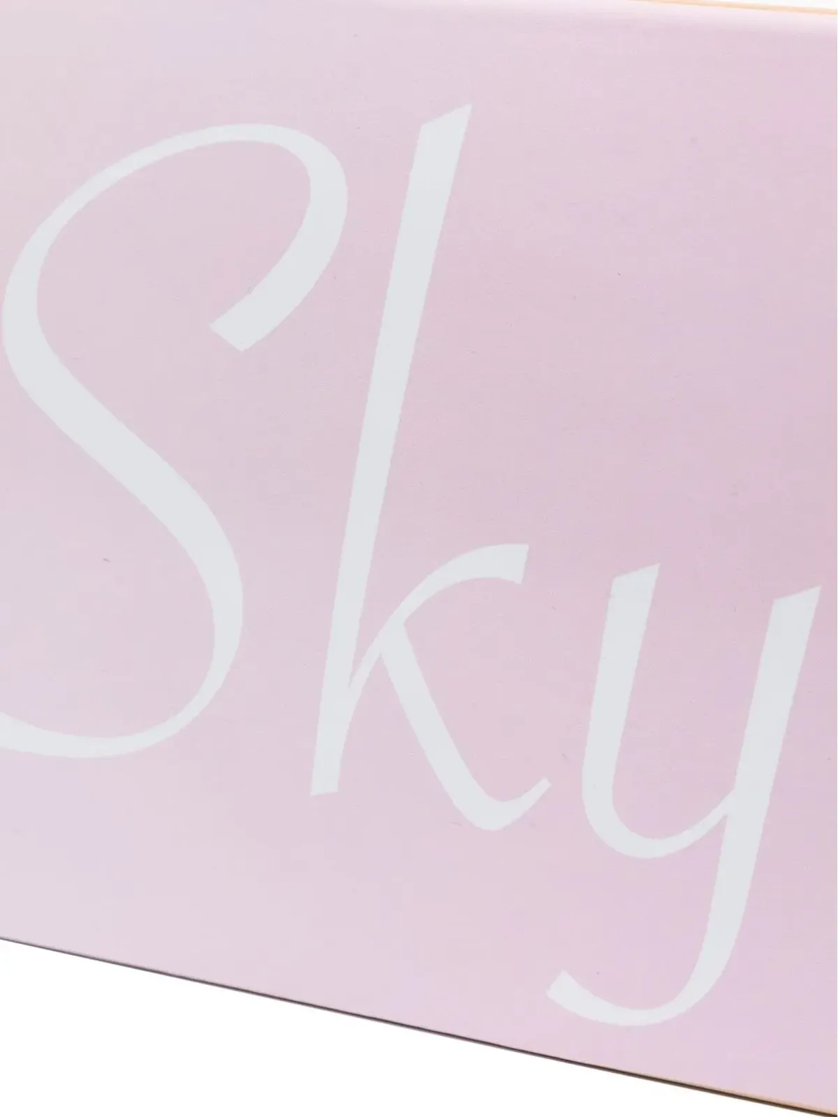 BLUE SKY INN ロゴプリント スケートデッキ - 画像4