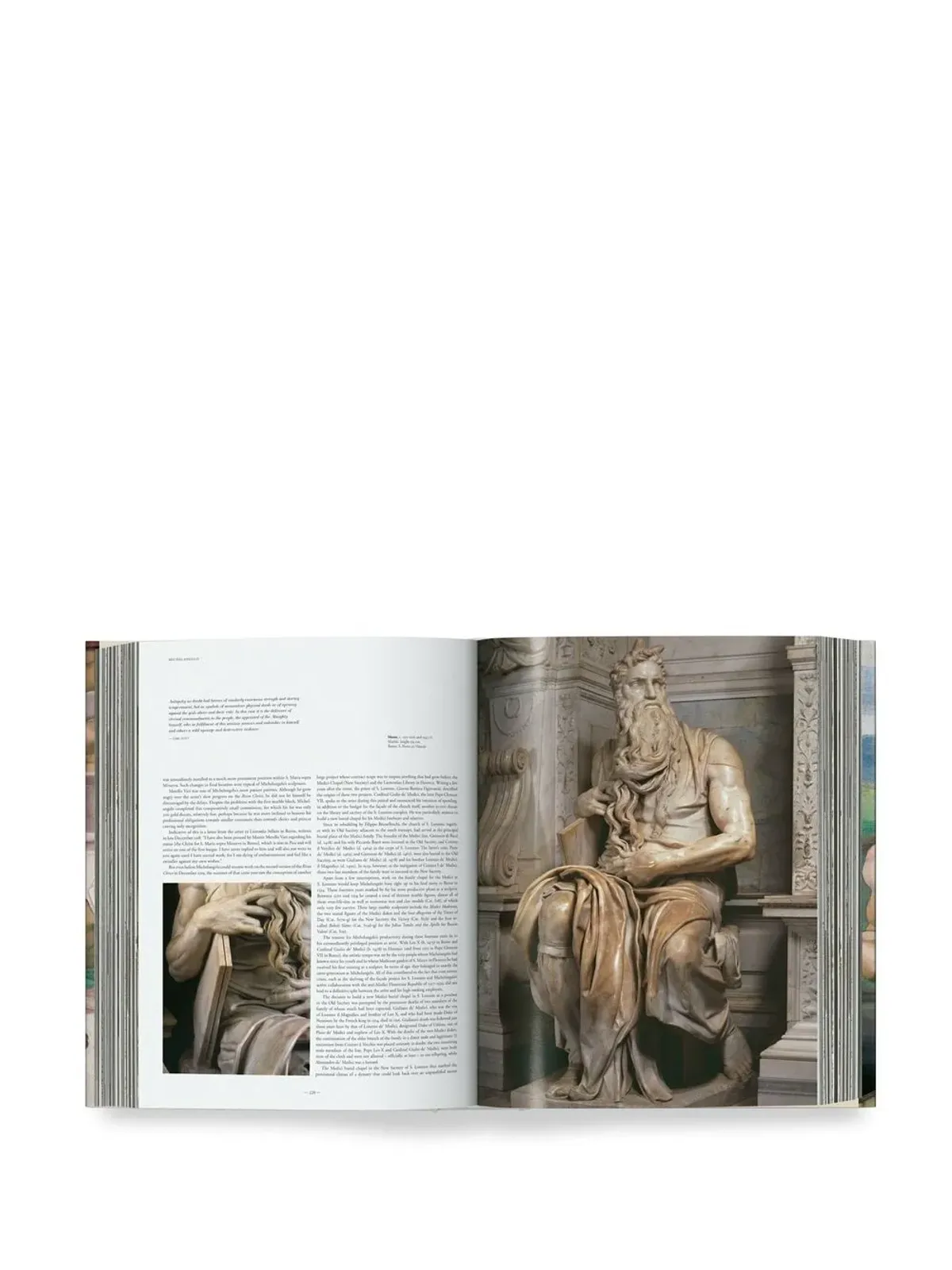 TASCHEN Michelangelo. The Complete Works. Paintings, Sculptures, Architecture - Brown - 画像2