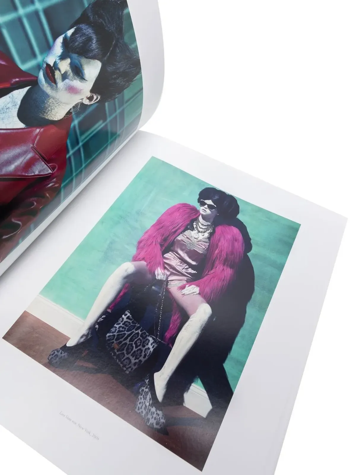 Phaidon Press スティーブン・クライン by マーク・ホルボーン - ホワイト - 画像4