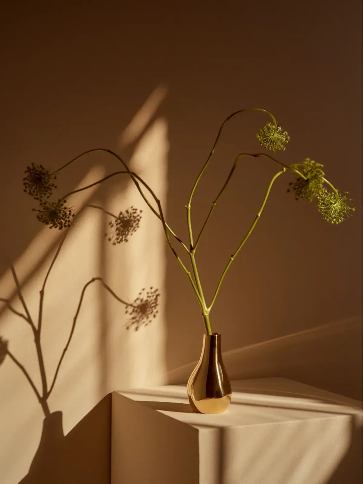 Dinosaur Designs 真鍮の花瓶 - ゴールド - 画像3
