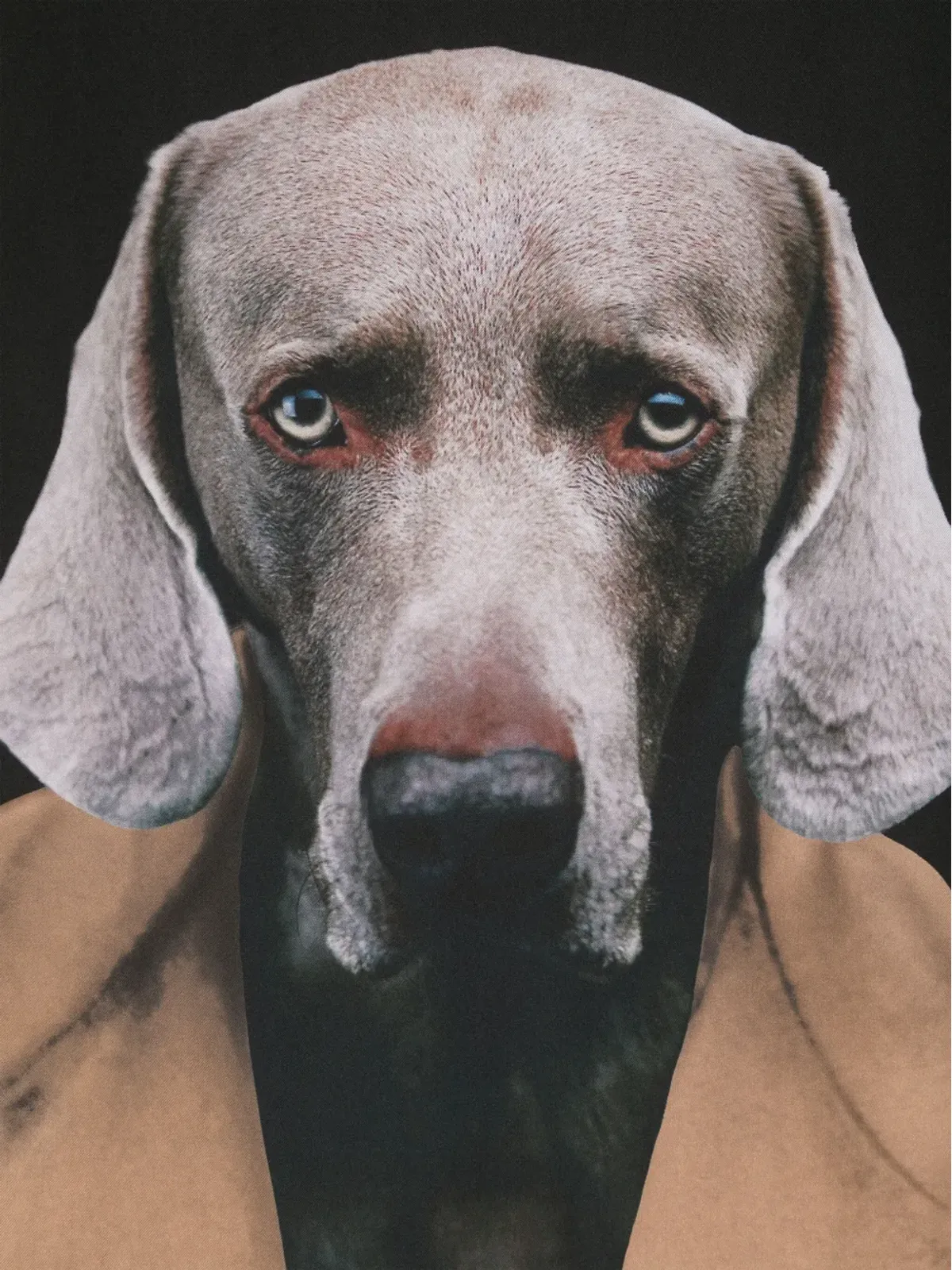 Max Mara 犬柄シルクスカーフ - 画像2