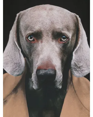 Max Mara 犬柄シルクスカーフ - サムネイル2