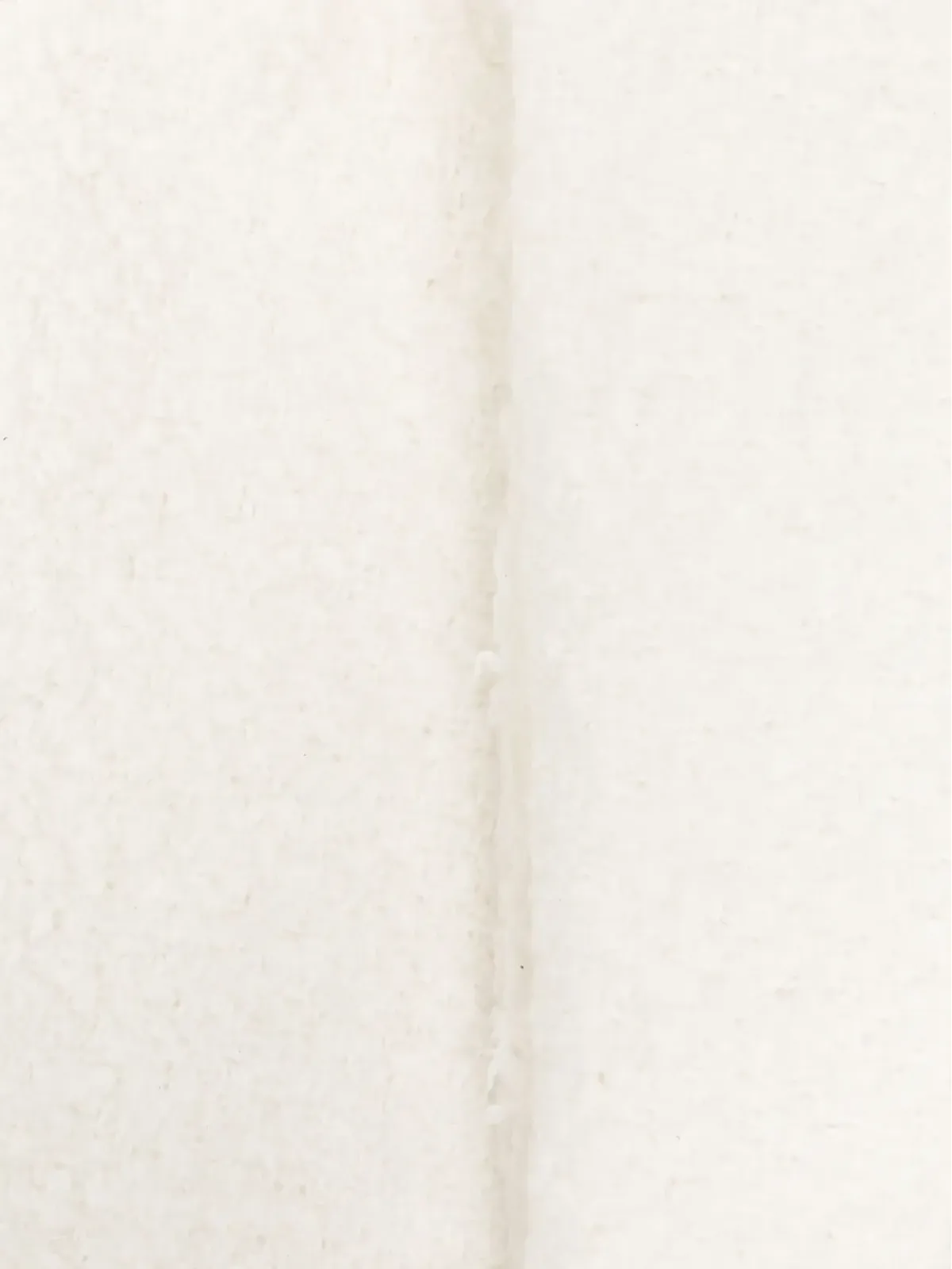 alonpi cashmere ホワイトのスノーブランケット - 画像2